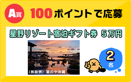 A賞 100ポイントで応募