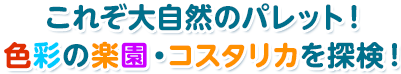 これぞ大自然のパレット！色彩の楽園・コスタリカを探検！