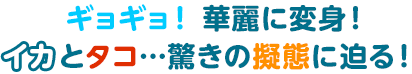 ギョギョ！ 華麗に変身！ イカとタコ…驚きの擬態に迫る！